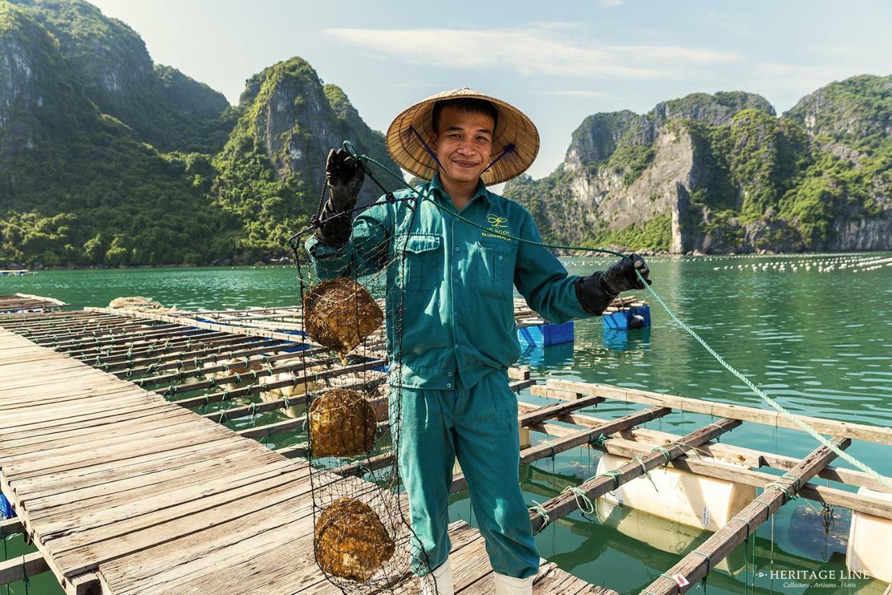Heritage Line Violet Cruise - Halong Bay & Lan Ha Bay Ha Long Exterior foto